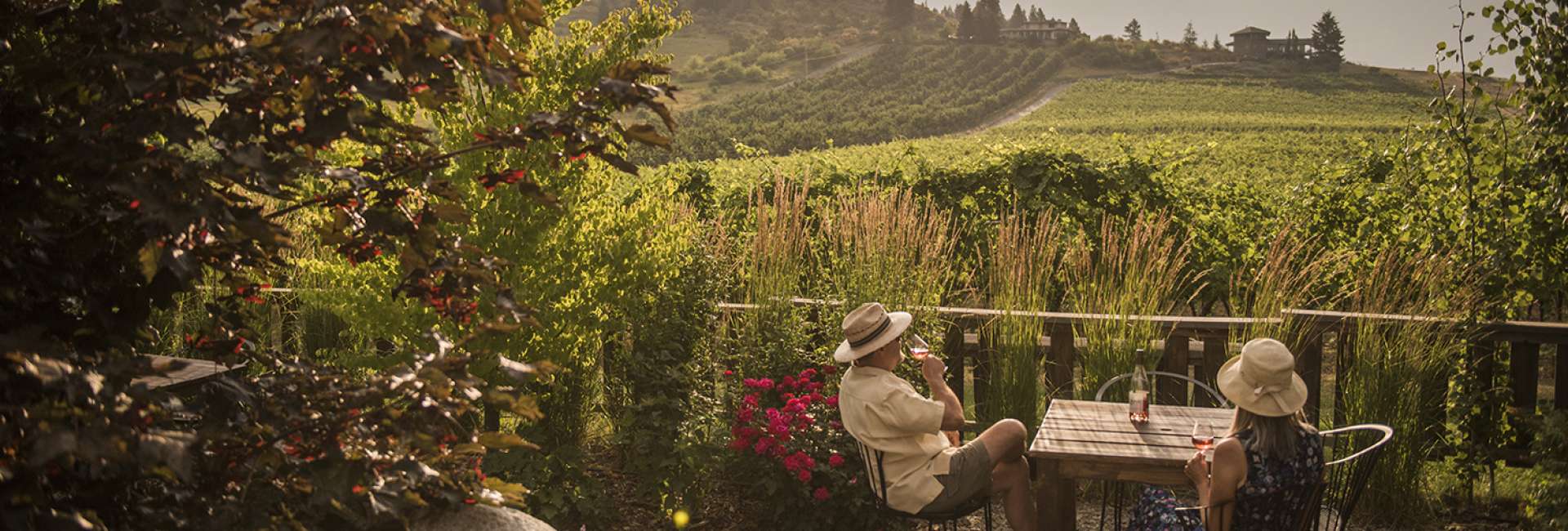 Enjoy a Birds Eye View of Wine Country with a Grape Escape - California  Grown