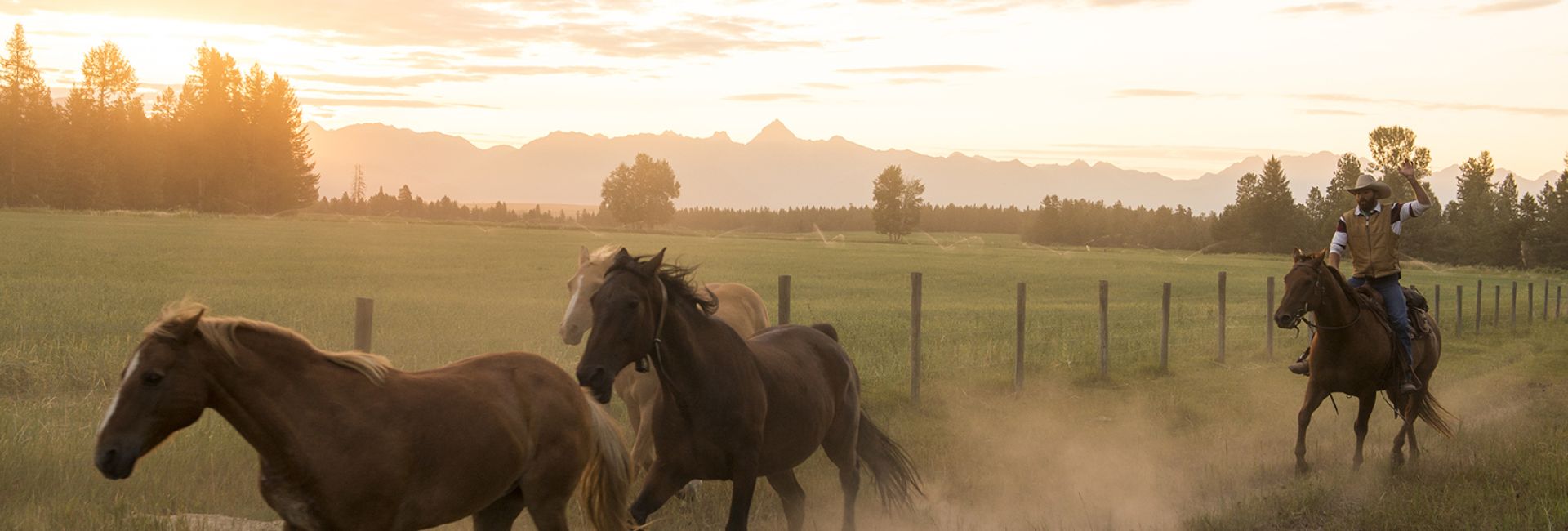 Three Bars Cattle Amp Guest Ranch Kootenay Rockies Tourism