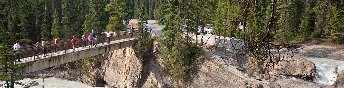 Kicking Horse Campground Kootenay Rockies