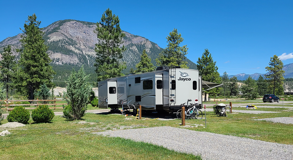 Black sheep tent discount